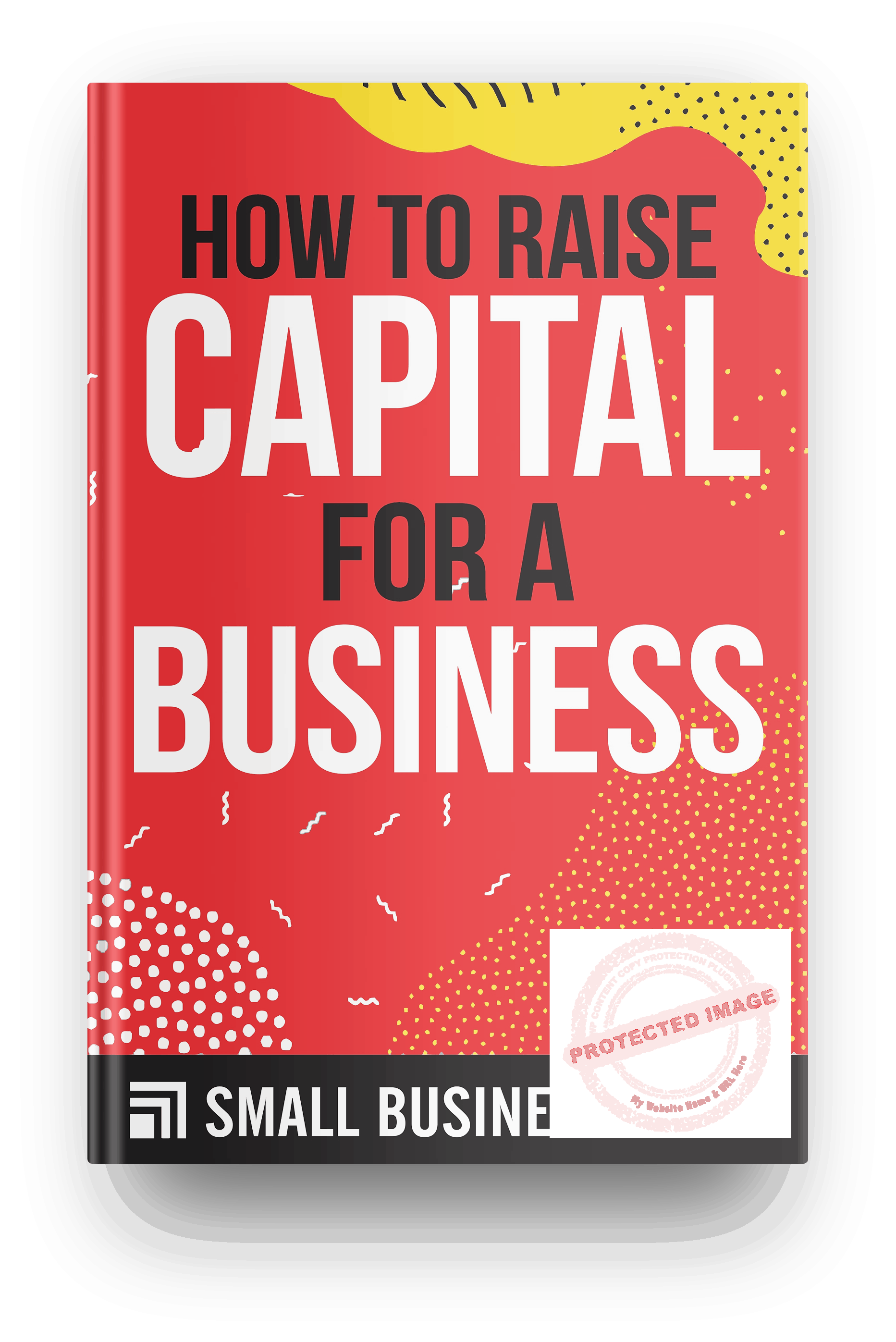 business plan raise capital