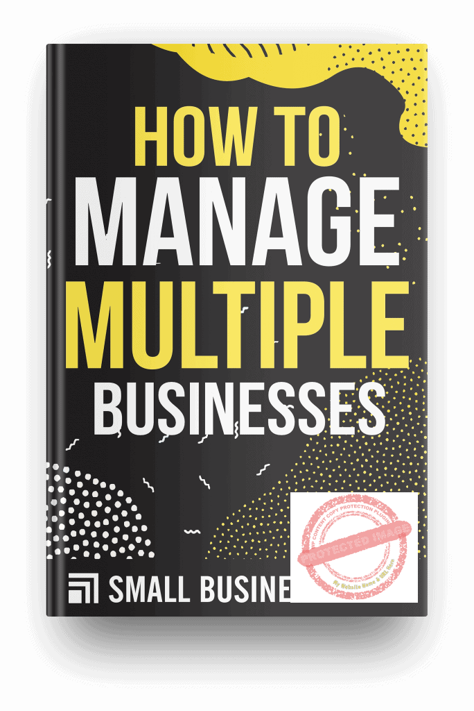 how to manage multiple businesses