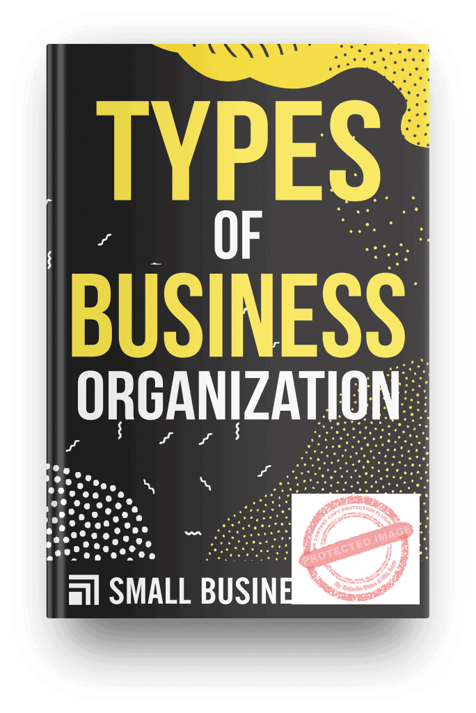 types of business organisation