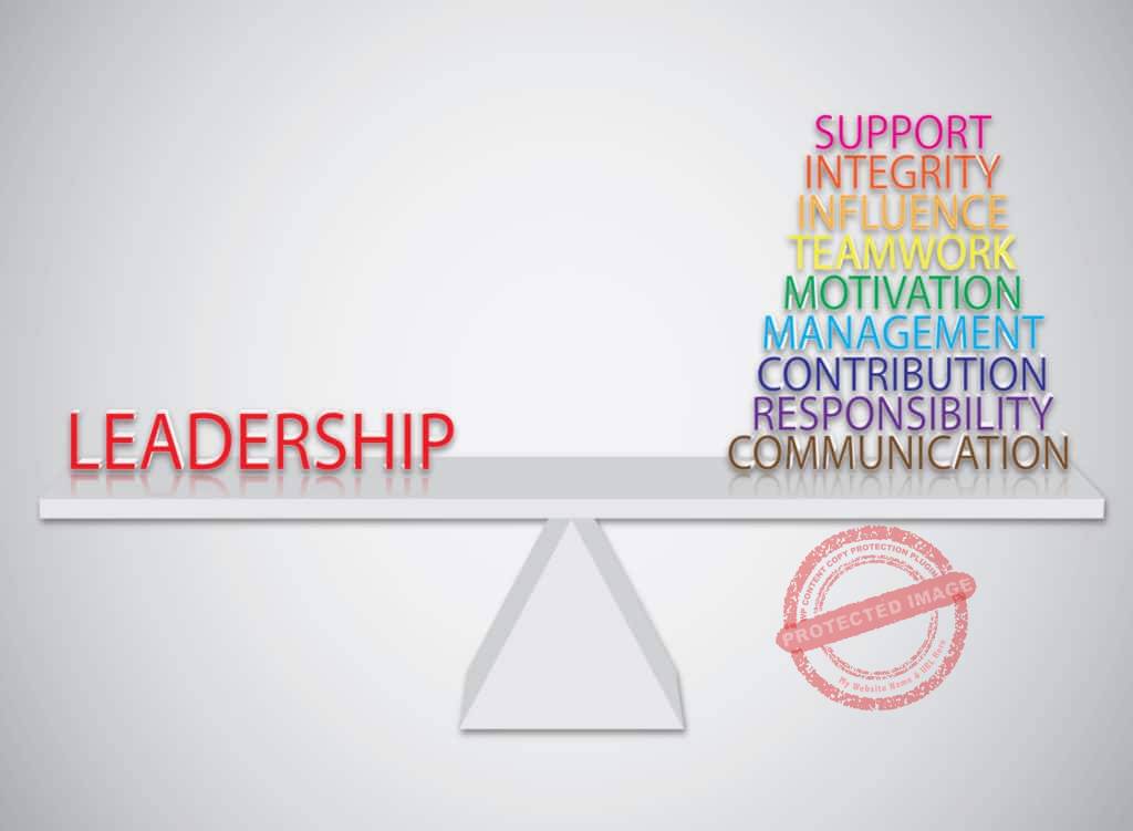 Definition of leadership