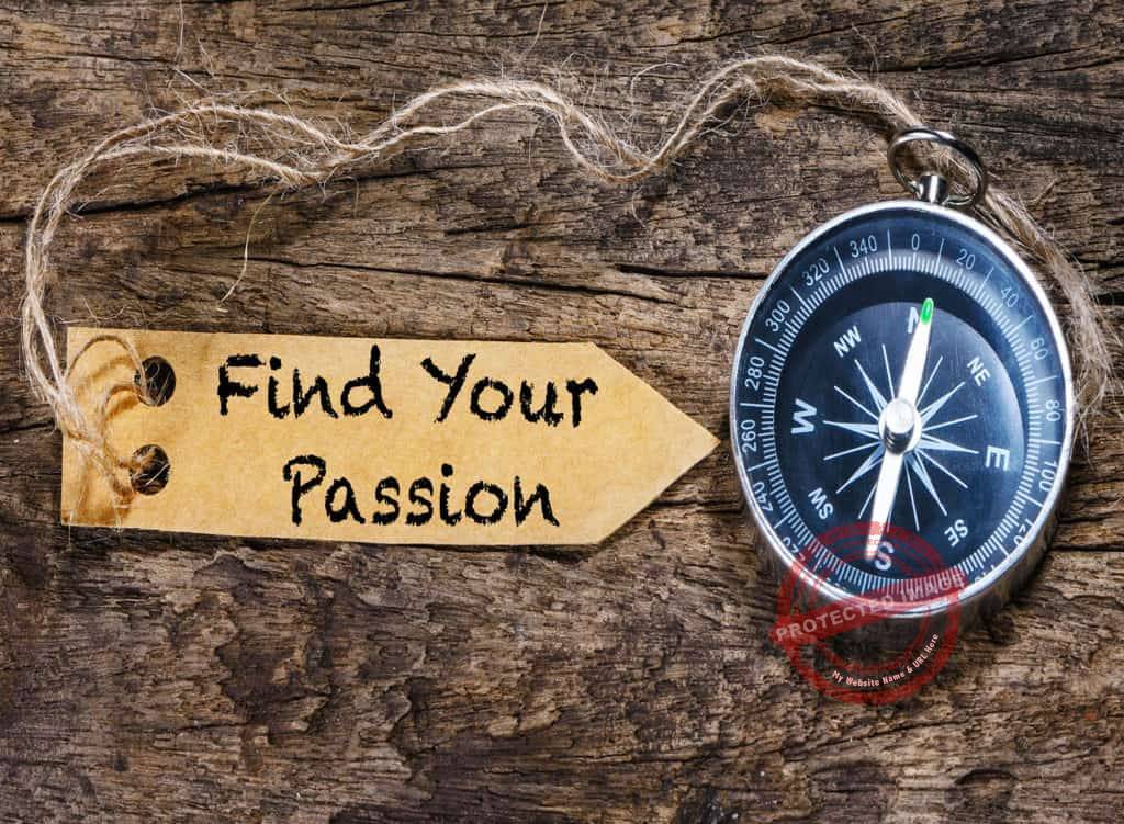 How to find a career you love_