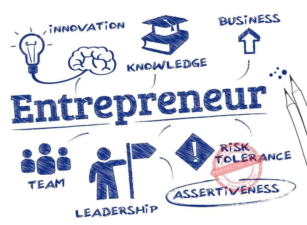 Definition of entrepreneur_