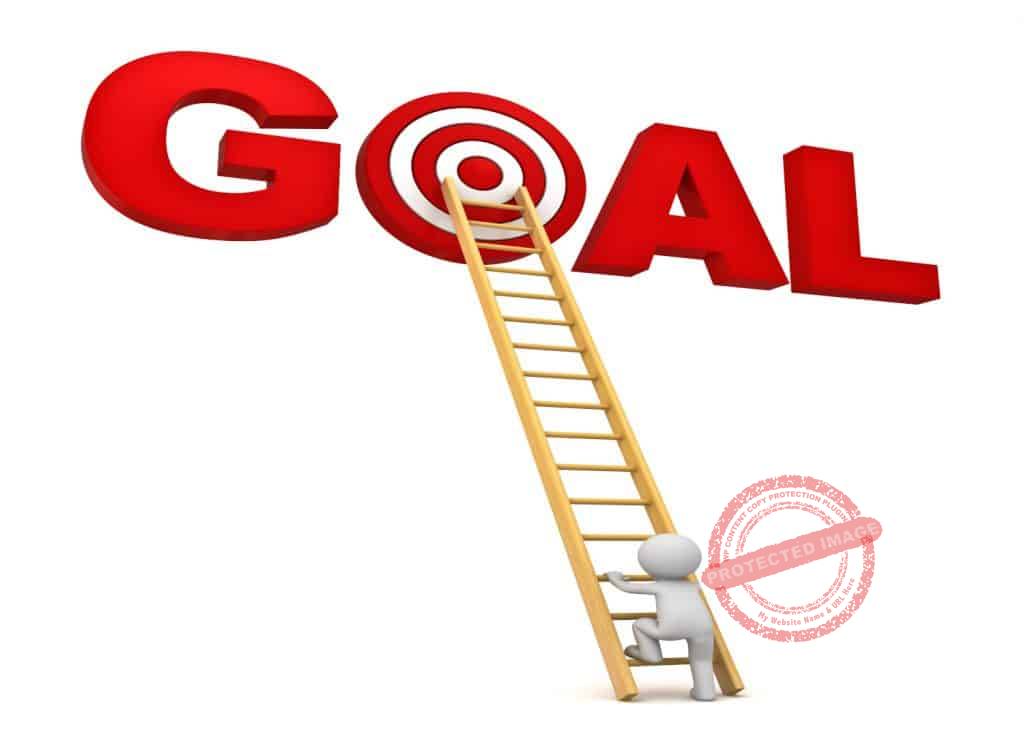 Why is setting goals important in business 2