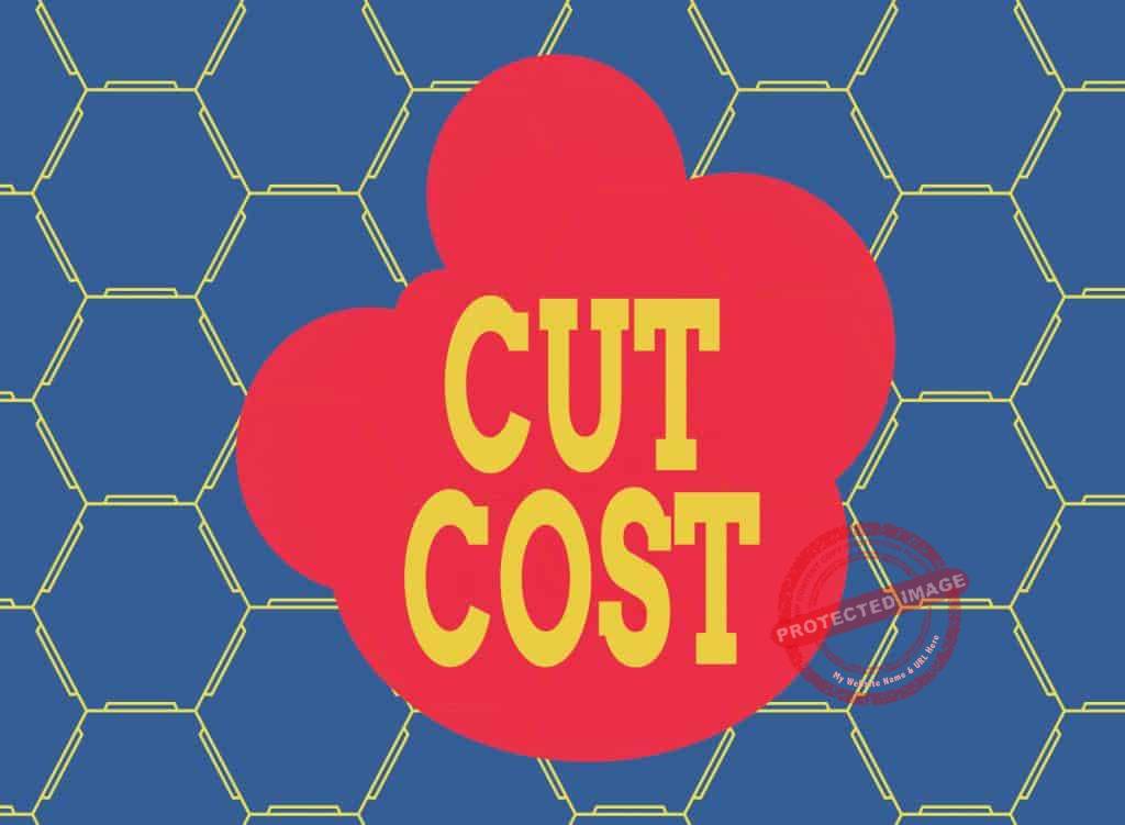 How to cut costs in a business