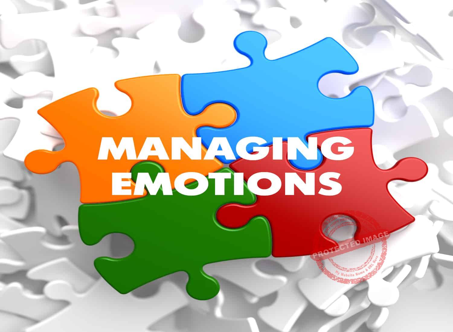 how do you manage your emotions essay brainly