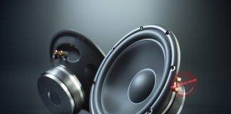 Best 5 ¼ Speakers for Bass