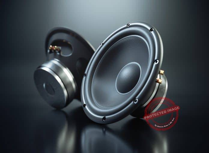 Best 5 ¼ Speakers for Bass