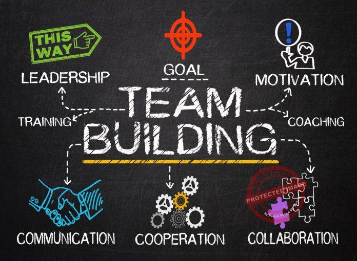How To Build A Cohesive Team