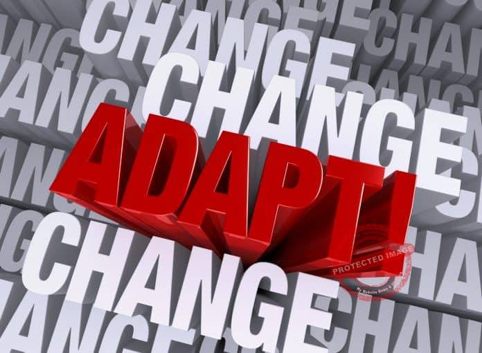 How to Develop Adaptability Skills