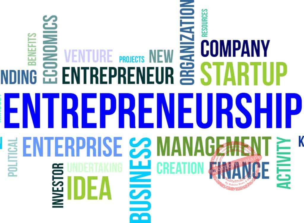 What are the characteristics of entrepreneur