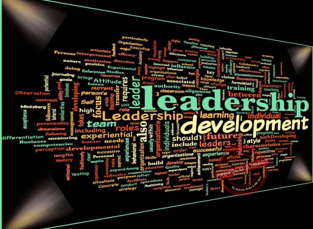 What should a leadership development plan include