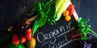 Organic Food Business Ideas