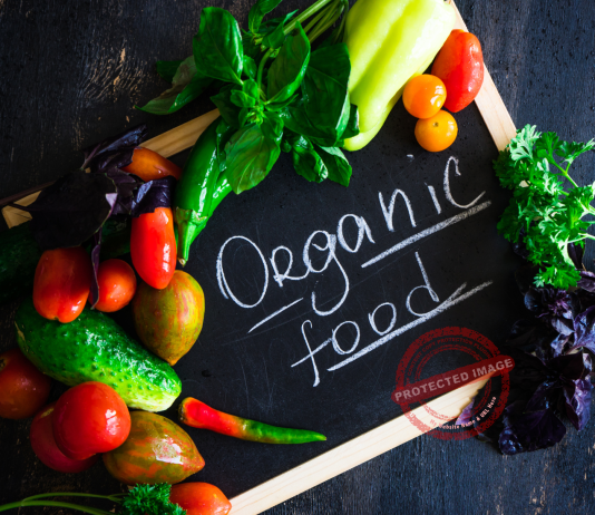 Organic Food Business Ideas
