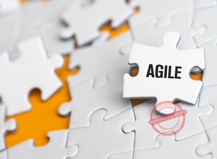 What Is Agility In Business