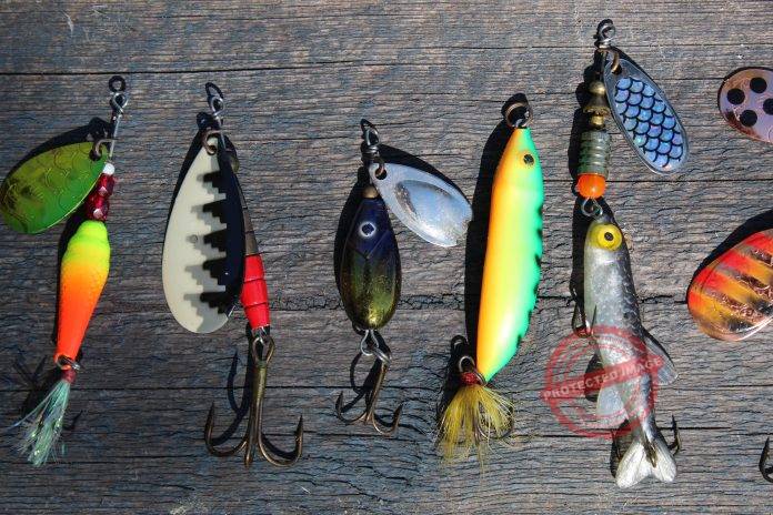 How to Start a Bait Shop Business