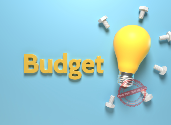 What is budget in business