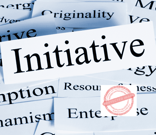 What Is An Initiative In Business 
