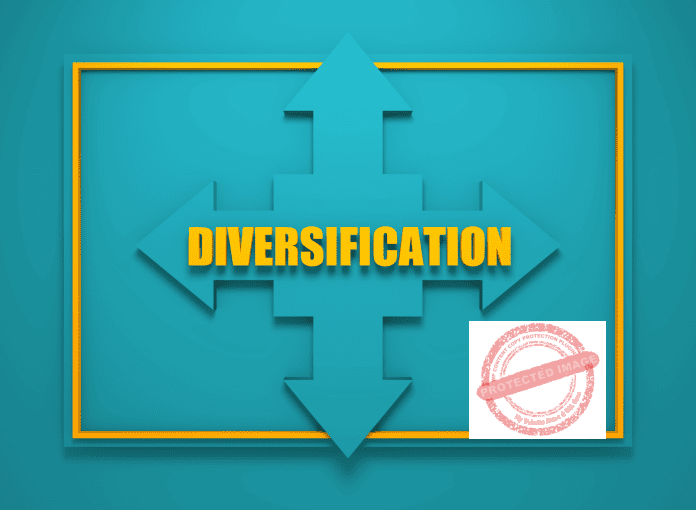 What Is Diversification In Business