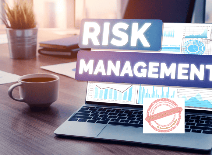 Risk management in business