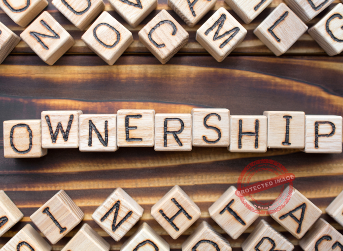 What is ownership in business